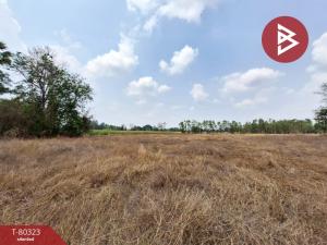 For SaleLandUthai Thani : Empty land for sale, area 10 rai 1 ngan 64 square wah, Nong Chang, Uthai Thani.