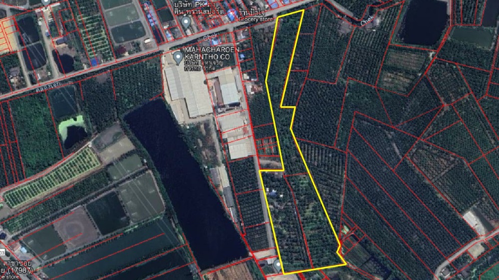 For SaleLandMahachai Samut Sakhon : Coconut plantation land for sale 1.1x million per rai, near Rama 2 Road. Ban Phaeo, Samut Sakhon