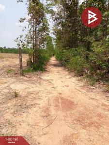 For SaleLandNakhon Phanom : Garden land for sale, area 8 rai 2 ngan 96 square wa, Si Songkhram District, Nakhon Phanom.