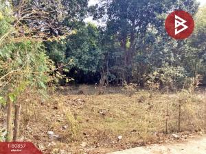 For SaleLandNakhon Phanom : Empty land for sale, area 10 rai 1 ngan 91 square wah, Renu Nakhon, Nakhon Phanom