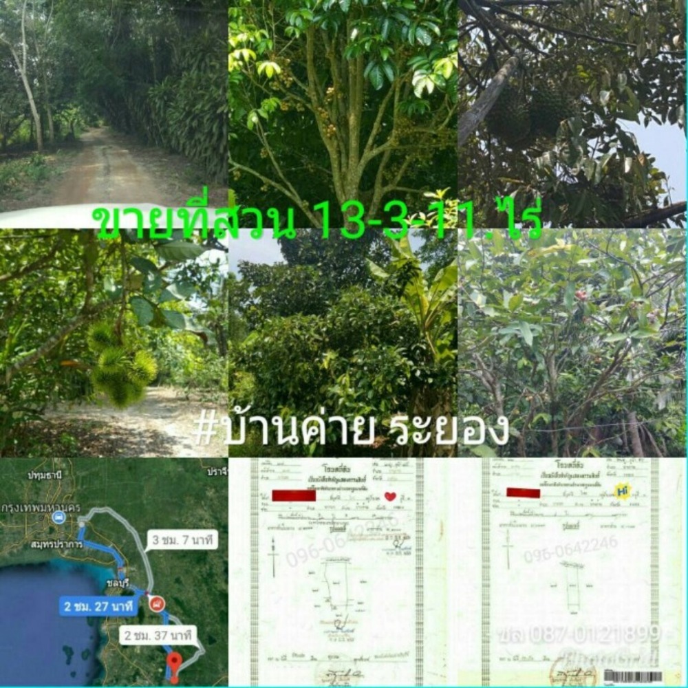 For SaleLandRayong : 🔥Urgent sale🍀garden 13-3-11 rai (2 title deeds) Sak Ko Phai Road, Sak Bok Subdistrict, Ban Khai District, Rayong 21120🌈