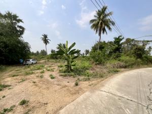 For SaleLandAng Thong : 🔥Beautiful land for sale with a mango orchard, Wiset Chai Chan District, Ang Thong Province.