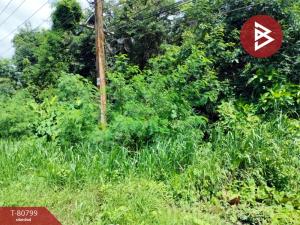 For SaleLandChumphon : Empty land for sale, area 20 rai 2 ngan 70.5 square wah, Tha Sae, Chumphon.