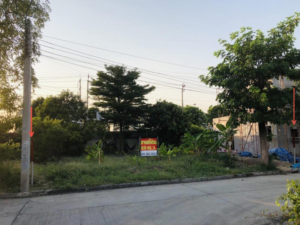 For SaleLandVipawadee, Don Mueang, Lak Si : Empty land for sale Neo City Village, Neo City, 60 sq m, Nawong Pracha Phatthana-Songprapha, Don Mueang