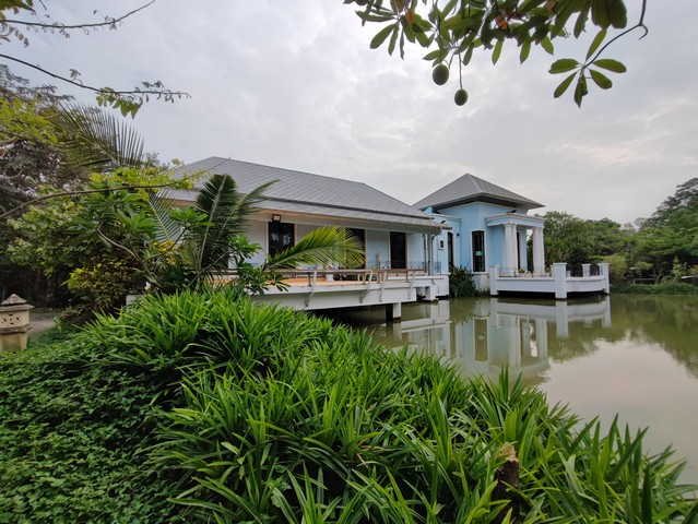 For SaleHousePattanakan, Srinakarin : Single house for sale in Pratumnak in the middle of the water, Krungthep Kreetha, Romklao, Phatthana Rural 3, area 3 rai 1 ngan 48 sq m, area 800 sq m, pool, forest garden, basketball court.