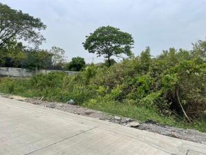 For SaleLandPattanakan, Srinakarin : Land for sale 400 sq m (next to The City Pattankarn village)