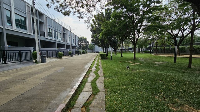 For SaleTownhousePathum Thani,Rangsit, Thammasat : Cheap 2-story townhome for sale, Verve Tiwanon-Rangsit / Verve Tiwanon - Rangsit, land 20.7 sq m., usable area 109 sq m., 3 bedrooms, 2 bathrooms, 1 kitchen, house in front of the garden, currently no one lives in it. Large bedroom with garden view