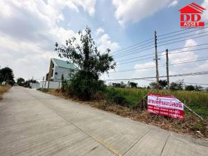 ขายที่ดินปทุมธานี รังสิต ธรรมศาสตร์ : ขายที่ดินเปล่า ลำลูกกาคลอง4 ซอยไสวประชาราษฎร์ 35  รหัส L8012