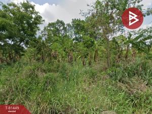 For SaleLandRatchaburi : Empty land for sale, area 2 ngan 39 square wah, Ban Kha, Ratchaburi.