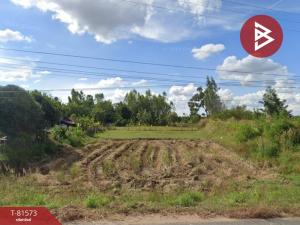 For SaleLandSi Sa Ket : Land for sale, area 10 rai 1 ngan 32 square wah, Ban Nong Chik, Phayu, Sisaket.