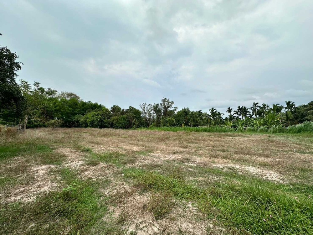 For SaleLandRayong : L081019 Empty land for sale 3-1-60 rai, Sukhumvit-Nong Si Mongkol Road, Rayong.