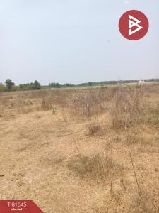 For SaleLandRatchaburi : Land for sale, already filled, area 10 rai 2 ngan 66.3 square wah, Chom Bueng, Ratchaburi.