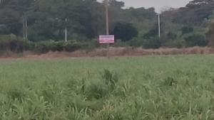 For SaleLandNakhon Pathom : Land for sale next to Kamphaeng Saen Aviation School, 28 rai, Nakhon Pathom Province.