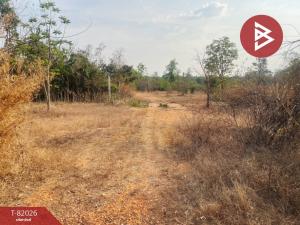 For SaleLandKorat Nakhon Ratchasima : Urgent sale, empty land, area 1 rai 2 ngan, Pak Thong Chai, Nakhon Ratchasima.