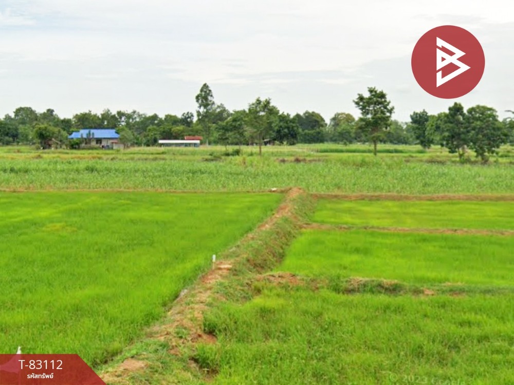 For SaleLandBuri Ram : Land for sale 21 rai 2 ngan 84 square wah, Lam Plai Mat, Buriram.