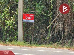 For SaleLandUthai Thani : Land for sale, area 9 rai 94 square wa, Thanong Beach, Uthai Thani.