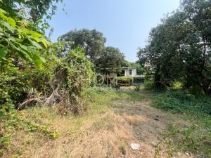 For SaleLandOnnut, Udomsuk : Land with Building Soi Udomsuk 29 / 709 Square Meter (FOR SALE) PUY302