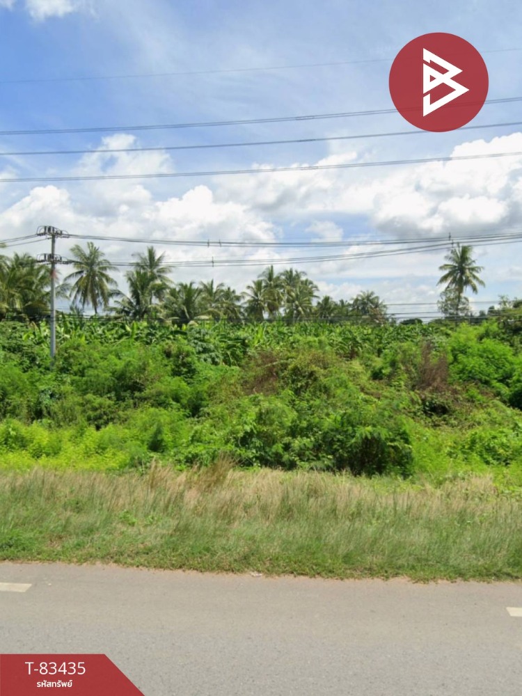 For SaleLandSing Buri : Land for sale, area 1 rai 63.3 square wah, Phok Ruam, Singburi