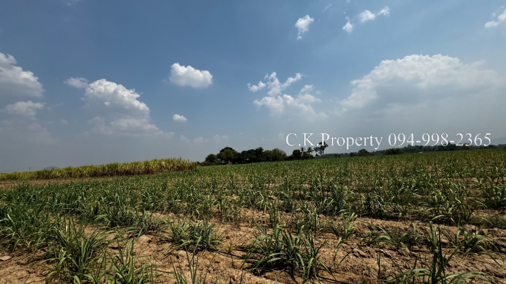 For SaleLandKanchanaburi : Land for sale, prime location, 750,000 baht per rai, 7 rai, Dan Makham Tia Subdistrict. Dan Makham Tia District, Kanchanaburi Province