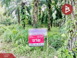 For SaleLandChumphon : Urgent sale of palm plantation land, area 21 rai 68.5 square wah, Wang Phai Subdistrict, Mueang Chumphon.