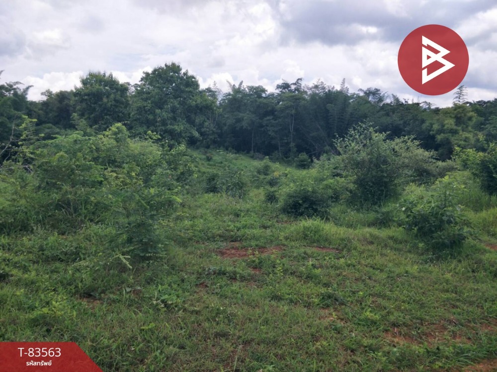 For SaleLandLampang : Empty land for sale, area 2 rai 1 ngan 42 sq m, Mae Tha, Lampang.