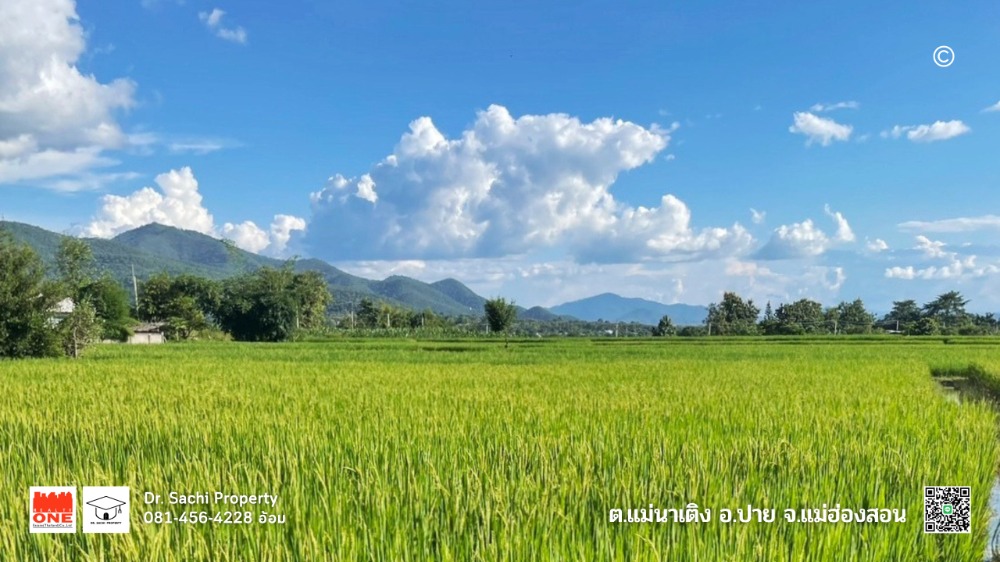 For SaleLandMae Hong Son : Beautiful land for sale, 5-0-35 rai, Ban Na Chalong, Pai District, Mae Hong Son, near Wat Sri Don Chai.