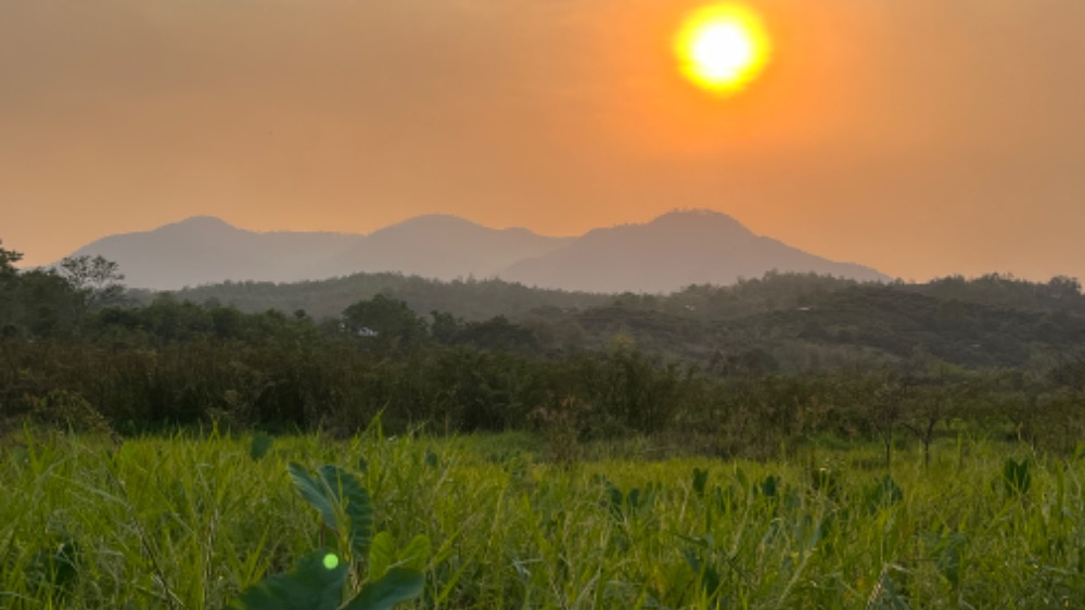 ขายที่ดินเชียงใหม่ : ขายที่ดินวิวภูเขา อำเภอแม่วาง เชียงใหม่ เจ้าของขายเอง