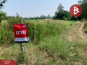 For SaleLandKorat Nakhon Ratchasima : Land for sale, 2 rai, Pak Thong Chai, Nakhon Ratchasima.