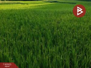 For SaleLandNakhon Sawan : Rice field land for sale, area 10 rai 53 square wa, Nong Krot Subdistrict, Nakhon Sawan