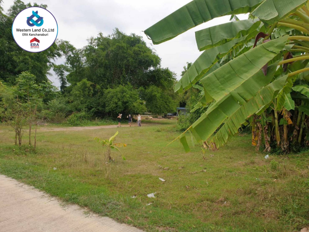 For SaleLandRatchaburi : Empty land for sale, Khlong Khoi, Photharam