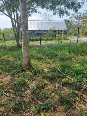 For SaleLandPak Chong KhaoYai : Empty land for sale, Phutawan Pak Chong project.