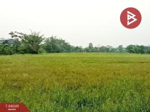 For SaleLandChiang Rai : Land for sale, area 4 rai 2 ngan 83 square wah, Thoeng, Chiang Rai.