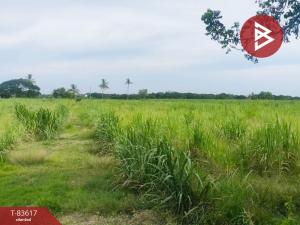 For SaleLandSing Buri : Land for sale 9 rai 2 ngan 36.6 square wah, Chakkri Subdistrict, Singburi