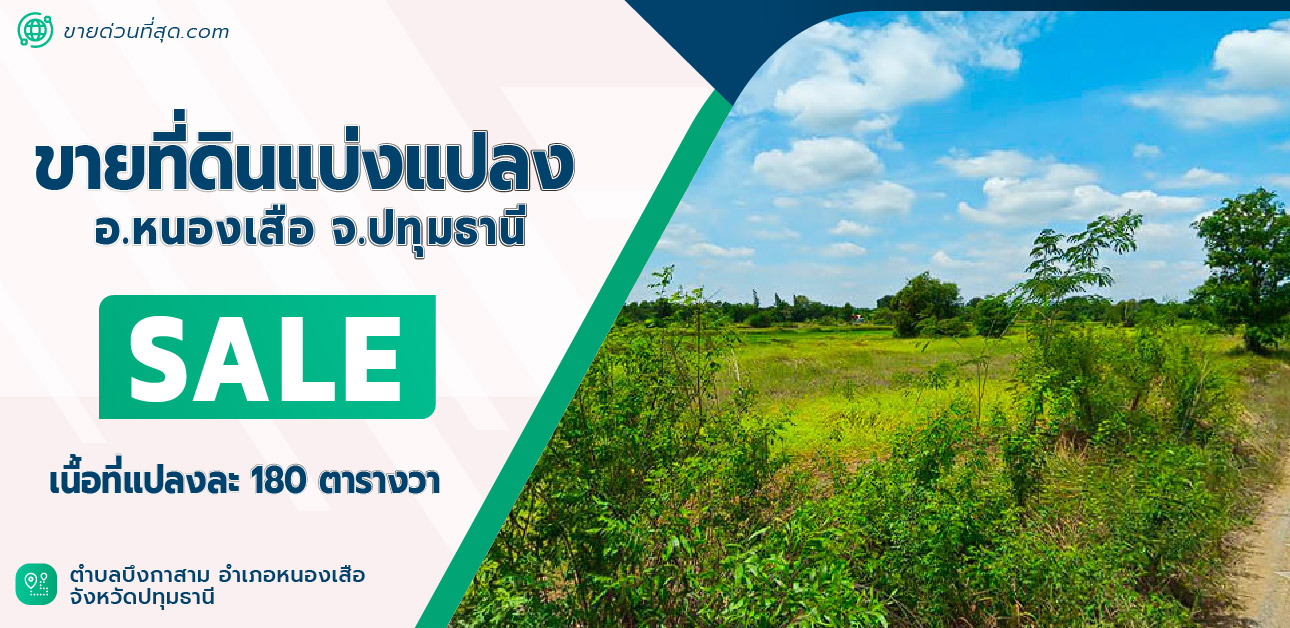 ขายที่ดินปทุมธานี รังสิต ธรรมศาสตร์ : ที่ดินแบ่งขาย 4 แปลง อ.หนองเสือ จ.ปทุมธานี แปลงละ 180 ตารางวา