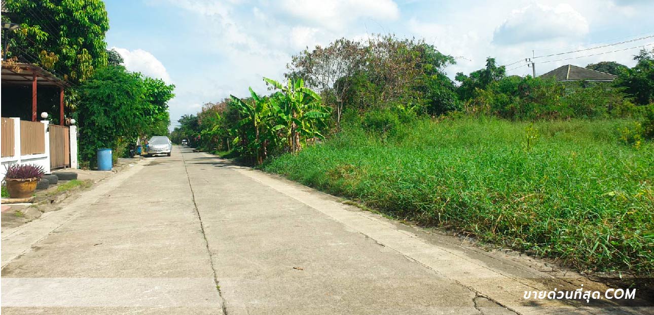 For SaleLandLadkrabang, Suwannaphum Airport : Land for sale, Soi Lat Khum Klao, Lat Krabang, area 100 square meters.