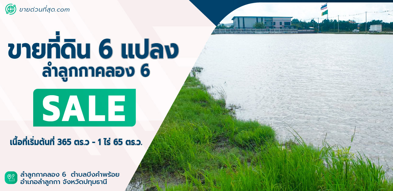 ขายที่ดินปทุมธานี รังสิต ธรรมศาสตร์ : ขายที่ดินแบ่งแปลง 6 แปลง  ลำลูกกาคลอง 6 เริ่มต้นที่ 365 ตร.ว - 1 ไร่ 65 ตร.ว