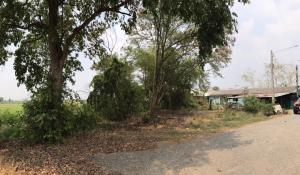 For SaleLandAyutthaya : Empty land for sale in Wang Noi Phra Nakhon Si Ayutthaya Province, 144.2 square meters, suitable for housing‼️