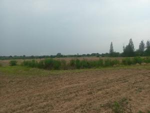 For SaleLandKorat Nakhon Ratchasima : 📢👇For sale, large plot with title deed, near Bonanza Khao Yai.