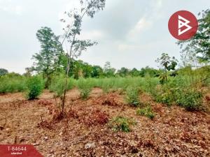 For SaleLandMaha Sarakham : Land for sale, area 10 rai, Waeng Nang, Maha Sarakham.