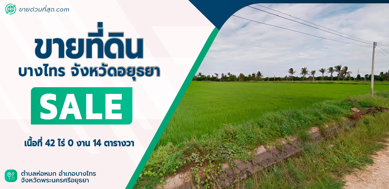 For SaleLandAyutthaya : Land for sale, Bang Sai District, Ayutthaya Province, area 42 rai 0 ngan 14 square wah.