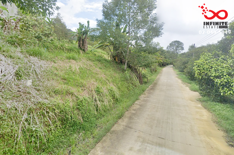 For SaleLandRanong : Agricultural garden land for sale, 130 rai, La-un District, Ranong.