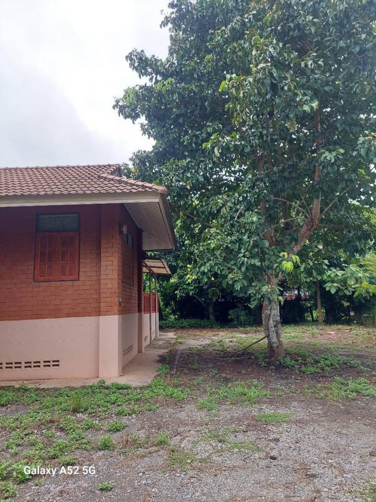 For SaleHousePhrae : 🌲Fruit garden house, total area 9 rai 3 ngan 6 square wa🌲 next to the Rong Kwang Rice Seed Research Center. The inside of the house isnt very good. The plane has a pond. There is a solar cell system and a parking garage.