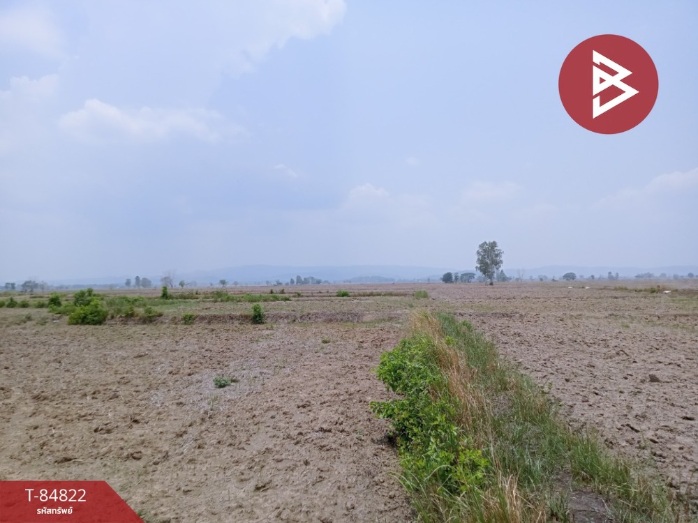 For SaleLandChiang Rai : Empty land for sale, area 8 rai 1 ngan 66 square wah, Phaya Mengrai, Chiang Rai.