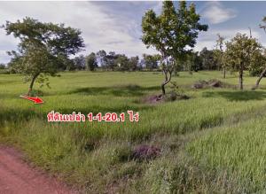 For SaleLandSakon Nakhon : For Sale: Land for Development, 1.1201 rai Sakan Nakhon, Thailand