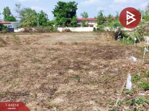 For SaleLandPhayao : Empty land for sale, area 3 rai, Mae Jai, Phayao