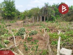 For SaleLandPhayao : Empty land for sale, area 1 rai 40 square wah, Mae Jai, Phayao.