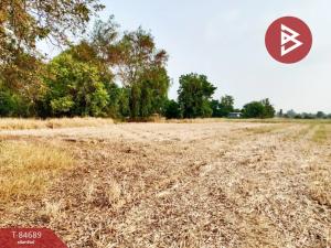 For SaleLandNakhon Sawan : Land for sale, area 29 rai 3 ngan 68 square wa, Nakhon Sawan Tok, Nakhon Sawan