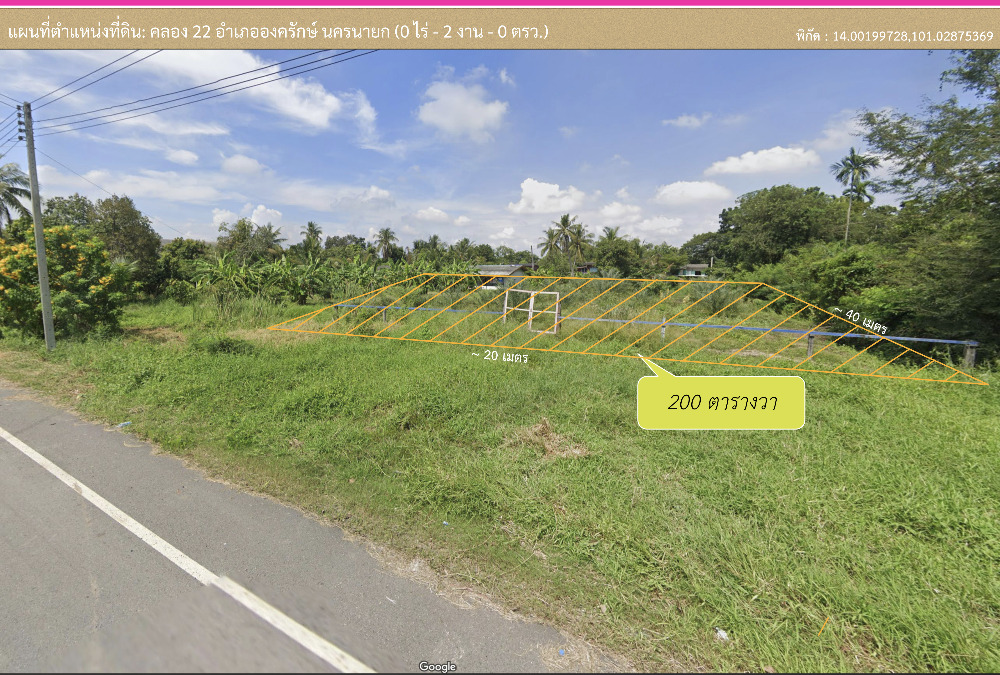 For SaleLandNakhon Nayok : Land for sale 200 sq m. with date palm orchard.