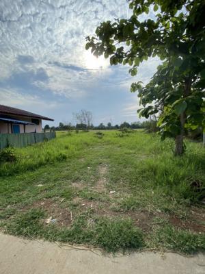 For SaleLandLampang : Urgent sale, land 200 sq m., Mueang Lampang District, near Lampang Rajabhat.