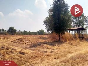 For SaleLandChaiyaphum : Land for sale, area 46 rai 80 square wa, Bamnet Narong, Chaiyaphum.